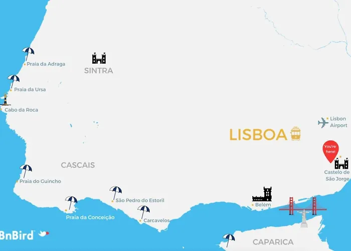 Bombarda 21 View @ Retro *